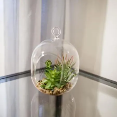 Cozy Apartman *